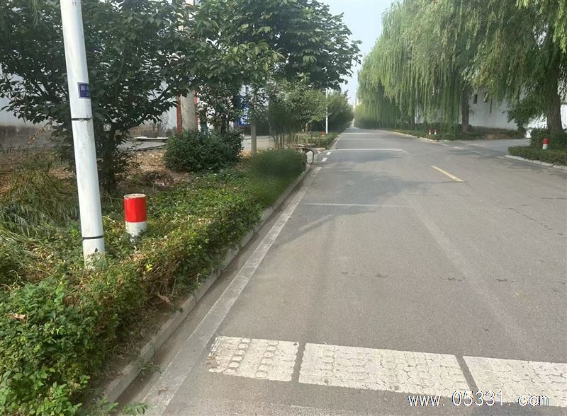 张店区南定镇一厂房预出租
